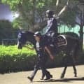 【キングジョージ】マスカレードボールは直線で力尽き７着　ルメール騎手は「坂まで一生懸命過ぎた.」と悔やむ　
