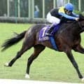 【キングジョージ】ディープインパクトの孫が制覇！牝馬のカルパナが昨年王者のカランダガンも圧倒する