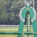 【盛岡・若鮎賞展望】マカヒキ産駒セイカールトンが重賞初制覇へ…キミノスキナアイスもV候補