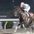 【高知・五台山特別】止まらないコパノハンプトン！高知移籍後4連勝で準重賞を圧勝