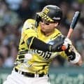 阪神連敗で首位陥落　直近５試合でクリーンアップ不振　藤川監督「ジタバタせずに」前半戦ラスト１戦首位ターン決める