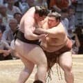熱海富士“四度目の正直”へ望みつないだ！安青錦に勝って行くぞＶ決定戦