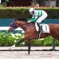 【札幌５Ｒ・２歳新馬】２歳コースレコードに０秒２差　大物感たっぷりのレガメデルヴェントが圧巻Ｖ