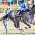 【東海S】藤原英昭調教師が12年ぶりのJRAダート重賞制覇なるか ドラゴンテイラーが5連勝に挑戦