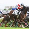 【今日の注目ポイント】新潟で関屋記念と中京で東海S