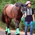 【関屋記念・馬トク最終ジャッジ】エルトンバローズは買い？死角あり？　おすすめ指数は...