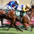 関屋記念は難解なハンデ戦 逃げ馬が好成績