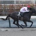【東海S予想】逃げ先行有利な中京ダ1400m 瞬発力も問われる舞台