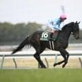 【関屋記念予想】サマーマイル第2戦 約800mの長い直線でスピード競うハンデ重賞