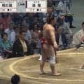 「待った！」行司ではなく審判長が“立ち合い不成立を告げる「こんなことあるんや」館内騒然も…元若乃花の見解は？