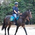 単勝１・１倍...３・１億円馬ダノンダックスは黒星デビュー　半姉リバティアイランドと同舞台で圧倒的人気も２着