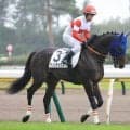 単勝１・２倍...３・１億円馬ダノンダックスは黒星デビュー　圧倒的人気も２着に戸崎圭太騎手「動き出しで鈍さを...」