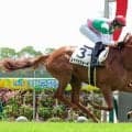 【中京２Ｒ・２歳新馬】牝馬のルナパッショーネが７馬身差の圧勝　坂井瑠星騎手「性格がよく、センスのいい馬」