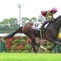 【中京１Ｒ・２歳未勝利】ジェンティルドンナの孫サンタンジェロが差し切って初勝利　横山武史騎手「すごくいい脚を使ってくれました」