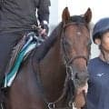 【中京２Ｒ・２歳新馬】ダノンデサイルの弟ダノンチャンピオンは４着　横山武史騎手「背中のよさはありますが...」