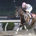 【高知競馬】コパノハンプトンが移籍後４連勝　赤岡修次騎手「最後までしっかり脚を使ってくれました」　高知７Ｒ・五台山特別
