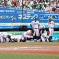 専大松戸も敗退　選抜ベスト4の全4校が夏出場ならずは32年ぶり