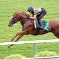 【札幌５Ｒ・２歳新馬】怪物候補のフライトライン産駒サトノフルークが２着　「イメージと違う競馬に」佐々木大輔騎手悔やむ