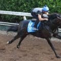 日曜中京競馬場の注目激走馬…中京７Ｒ東海ステークス・Ｇ３
