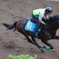日曜新潟競馬場の注目激走馬…新潟７Ｒ関屋記念・Ｇ３