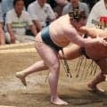 安青錦、熱海富士、霧島に優勝の可能性　大相撲名古屋場所千秋楽