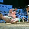 矢後が２場所連続の１勝６敗で名古屋場所を終える　三段目陥落も「しっかり立て直したい」