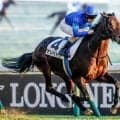 【関屋記念・馬体重】アンパドゥは498kg(+2)、ダノンセンチュリーは462kg(+2)