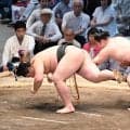炎鵬が千秋楽で勝ち越し「ホッとしています」関取復帰２場所目「15日間、取れたことが何より」