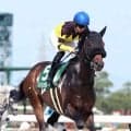 【東海Ｓ】単勝１・８倍で１番人気のドンインザムードは３着　得意舞台で重賞２勝目はならず