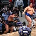 湘南乃海が十両優勝　本割は敗戦も…４人による優勝決定戦で連勝し初の各段優勝