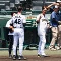 【阪神】甲子園でライブBP実施　ルーカスに「大事な戦力ですから」次回は２軍戦で３、４回予定