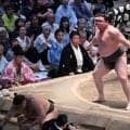 旭富士、７人の決勝トーナメント制し幕下V「番付で一番でも上がれるよう」序ノ口から４場所連続