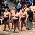 84歳名物客が「一段と素敵」　山の神の祖母“白鷺の姉御”が名古屋場所千秋楽も観戦