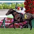 【札幌１１Ｒ・札幌日経賞】母はＧ１馬ラキシス　ミラージュナイトがリステッド初勝利　西村淳也騎手「能力ありますからね」