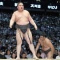 旭富士が幕下優勝決定戦制す「一枚でも上に上がれるように」
