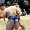 藤ノ川が勝ち越し、初の殊勲賞　大の里、豊昇龍の両横綱撃破を評価　「うれしい。重圧かかったけど、集中できてよかった」