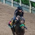 【関屋記念】逃げた８番人気クランフォードが健闘２着　「作戦通りの競馬」４度目の重賞挑戦で初連対に菊沢一樹騎手