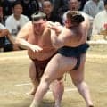 熱海富士が勝ち、優勝決定戦進出
