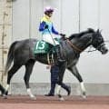 【東海Ｓ】「暑さの影響ですかね」坂井瑠星騎手の３番人気ドラゴンテイラー　まさか...大差の最下位１４着