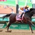 コリアスプリントの予備登録馬を発表　日本馬は米Ｇ１を完勝のテーオーエルビスなど２３頭