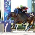 コリアカップの予備登録馬を発表　日本馬は昨年Ｖのディクテオン、３着のラムジェットなど２４頭