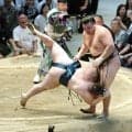 安青錦が優勝決定ともえ戦を制し、３場所ぶり３度目の優勝　３敗で並んだ霧島、熱海富士に勝つ　大の里は９勝で終える