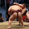 関脇安青錦が3度目優勝 　特例で大関復帰、賜杯も奪取