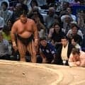 秋場所で霧島は綱とり継続、熱海富士は大関とりに　浅香山審判部長が見解示した