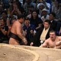 舞の海氏、3場所ぶりV安青錦を絶賛「ものすごい精神力の持ち主」ともえ戦優勝決定戦で連勝