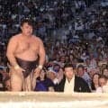 安青錦３場所ぶり３度目の優勝　霧島、熱海富士との優勝決定ともえ戦制す　１場所での大関復帰と同時Ｖ、特例復帰では初