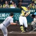 【阪神】佐藤輝明が打率３割２分を下回る　２打席終了時点で.318　それでもセ唯一の３割打者