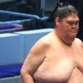 「まわしの上下で別人みたい」身長185センチ巨漢力士の“ほっそり美脚” 不思議な魅力が話題