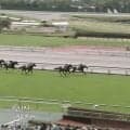 「相当強い」中距離で7馬身差“圧逃デビュー”の牝馬にファン絶賛「独走だ」「本物」