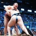 熱海富士３度目の優勝決定戦またも敗退…秋場所は大関とりに「なるんじゃないか」浅香山審判部長